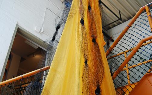 Honey II (detail)  by Leah Reynolds