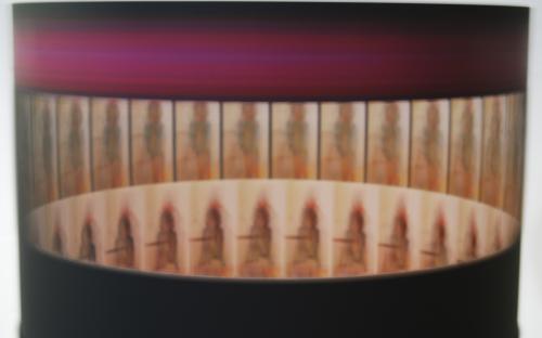 Zoetrope #1 by Leah Reynolds