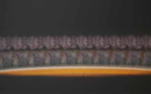 Zoetrope #4 by Leah Reynolds