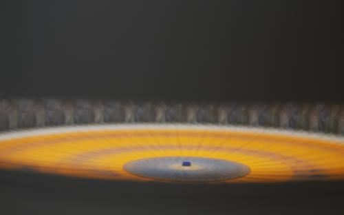 Zoetrope #4 by Leah Reynolds