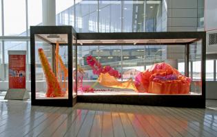 Furl, installation by Leah Reynolds